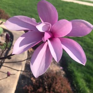 Meet your Posher, Caitlin